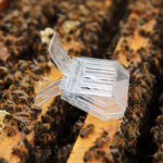 Clema prindere matca plastic - imagine 4