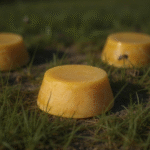 ceara de albine naturala direct din stupina