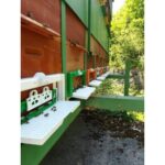 Rampă de zbor cu gratie antișoareci – 340 x 130 mm - imagine 4