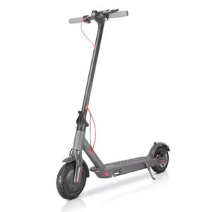 Trotineta electrica E-Scooter, Motor 350W, Baterie 36V 7.5Ah, Argintiu